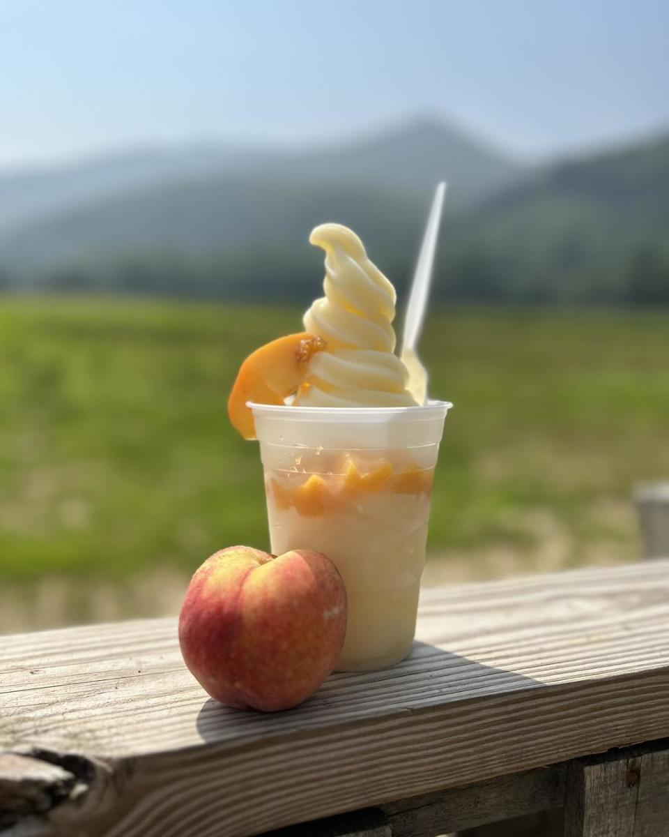 Dream Whip Darnell Farms