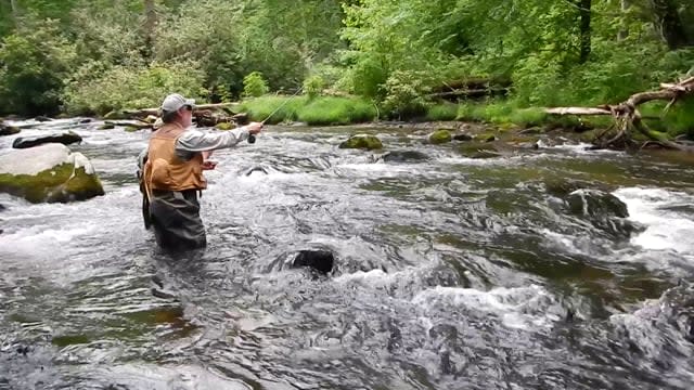Video Thumbnail - vimeo - Hazel Creek Wx Ch PCK