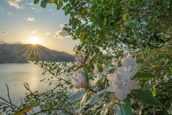 Spring at Fontana Lake