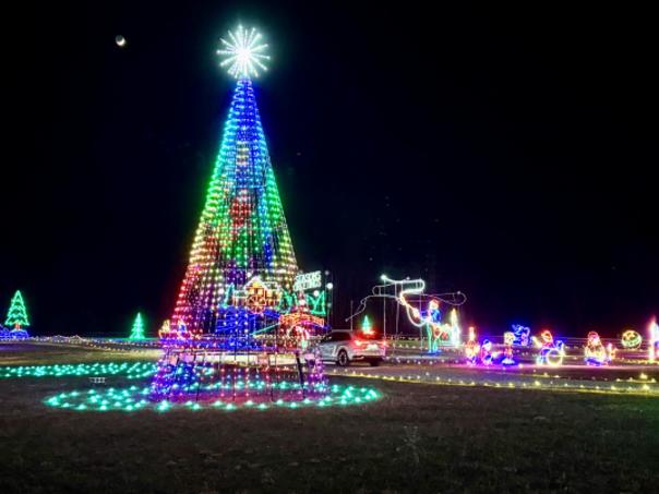 Christmas Tree Light Show
