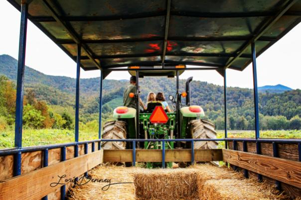 Darnell Farms Hayride