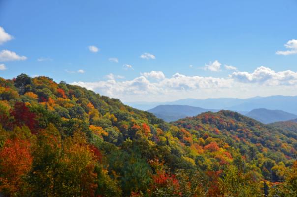 Mountains in Fall Colors