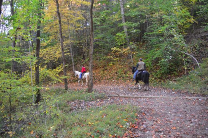 Horseback Riding