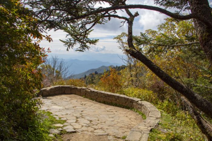 Waterrock Knob Trail