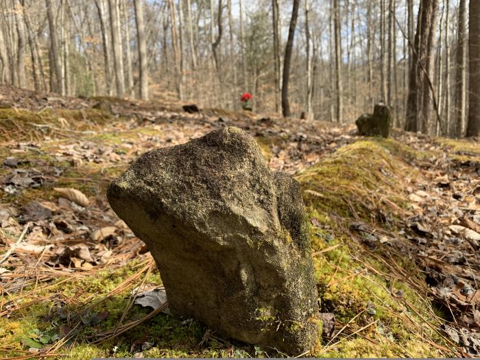Mingus Slave Cemetery