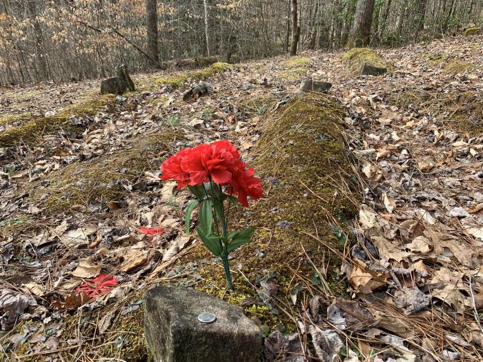 enloe slave cemetery