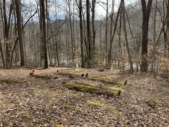 Mingus Enloe Cemetery