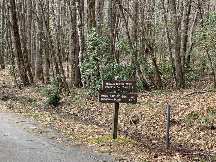 Enloe Slave Cemetery - Signage