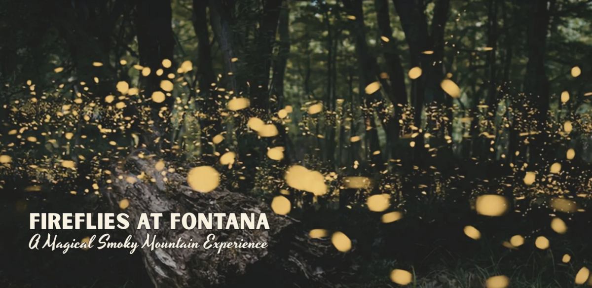 Fontana Village Resort Firefly Event