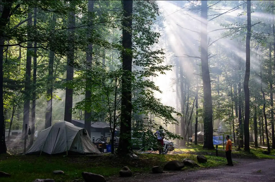 Elkmont Campground