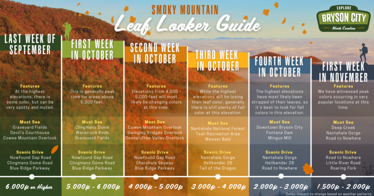 Leaf Looker Guide