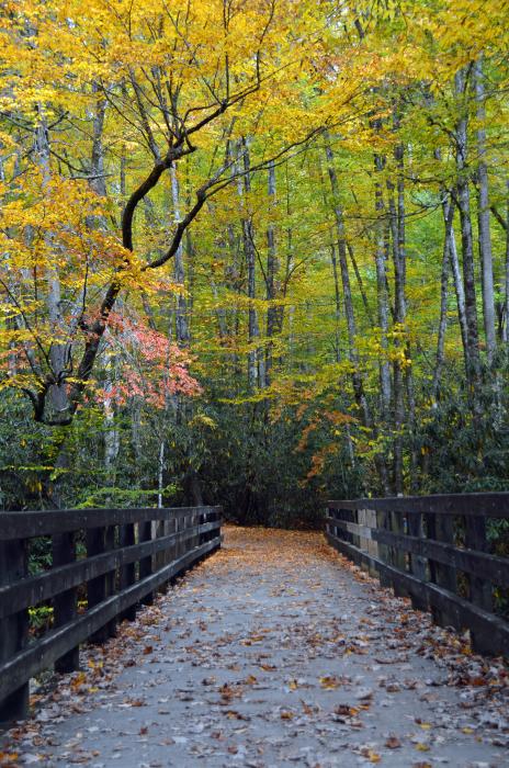 Kephart Prong Trail Bridge