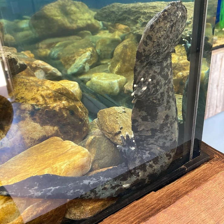Aquarium