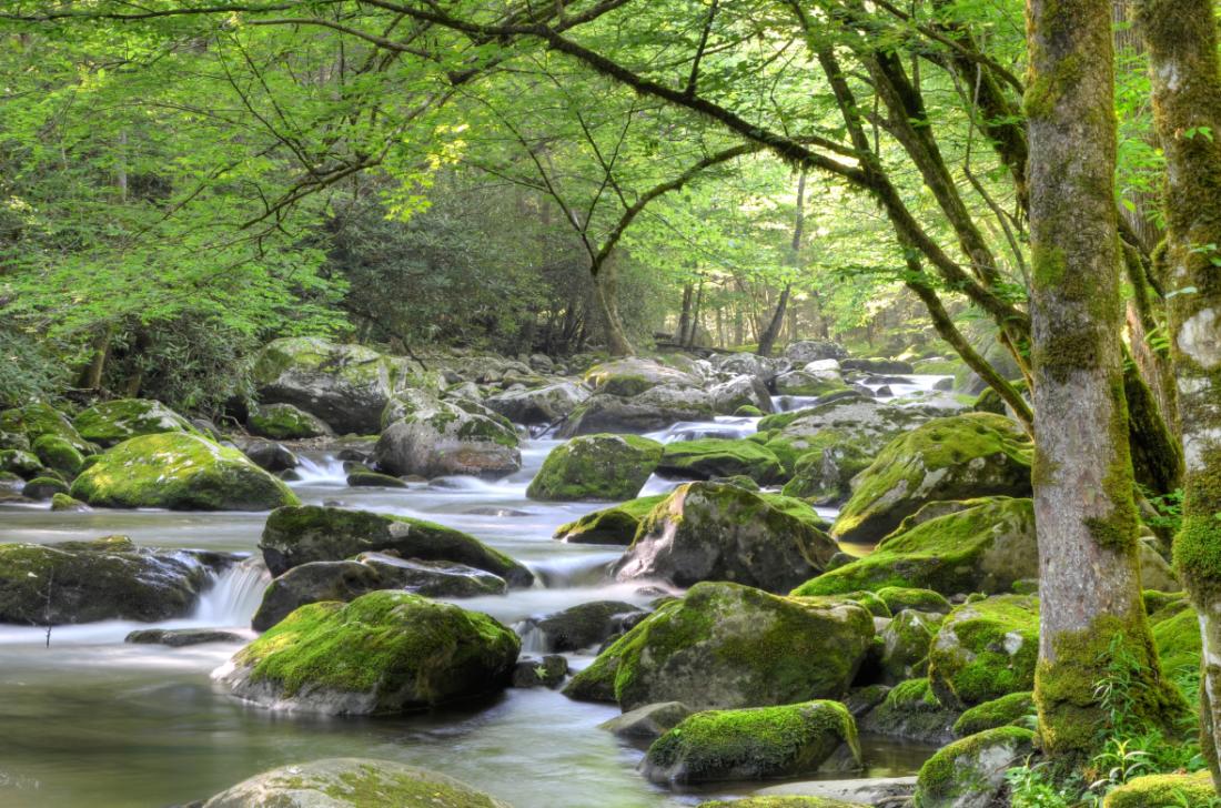 Creeks and Streams