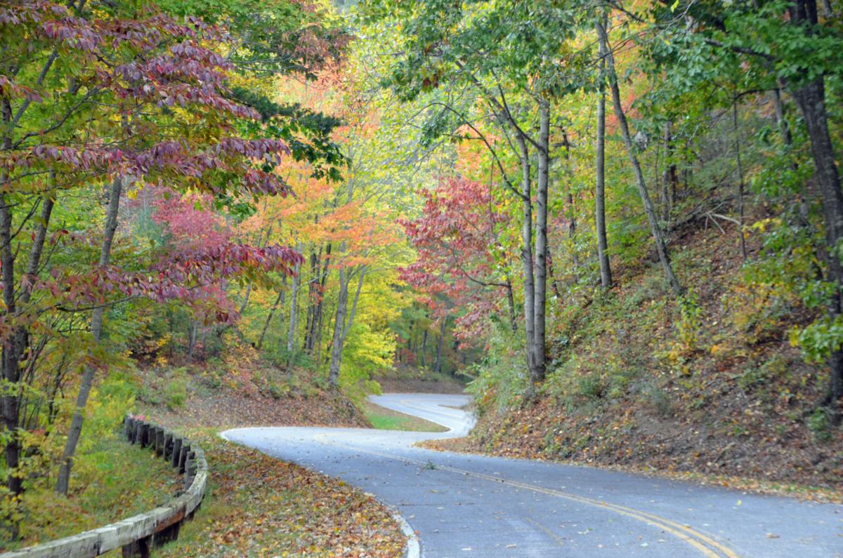 Winding Road in the Fall