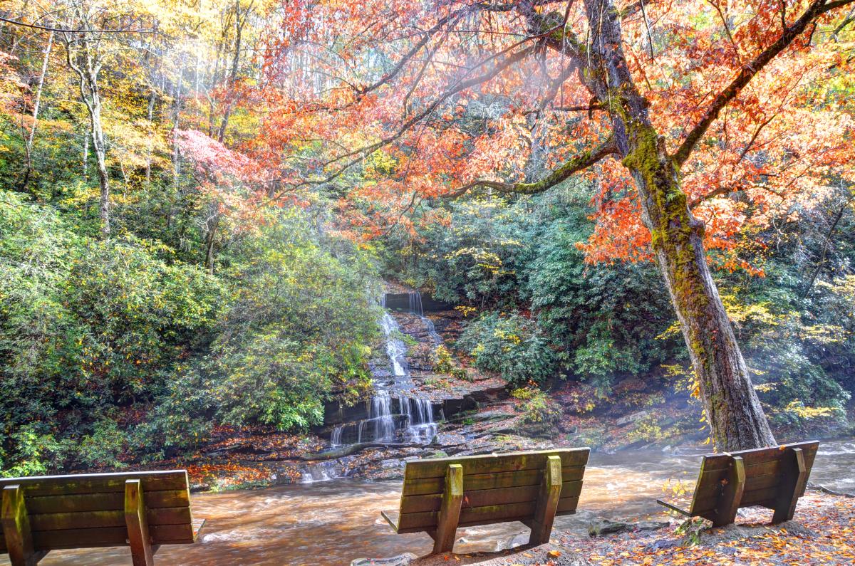 Tom Branch Falls with Benches
