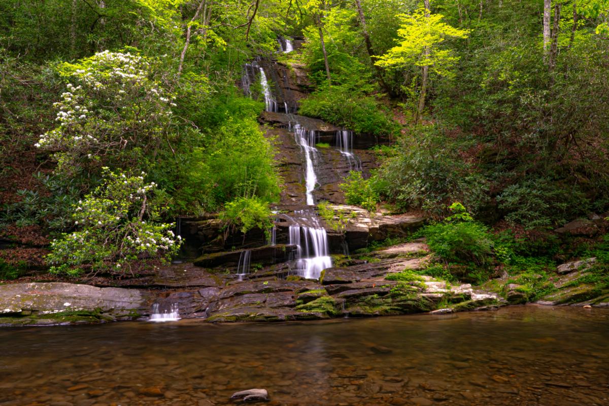 Tom Branch Falls