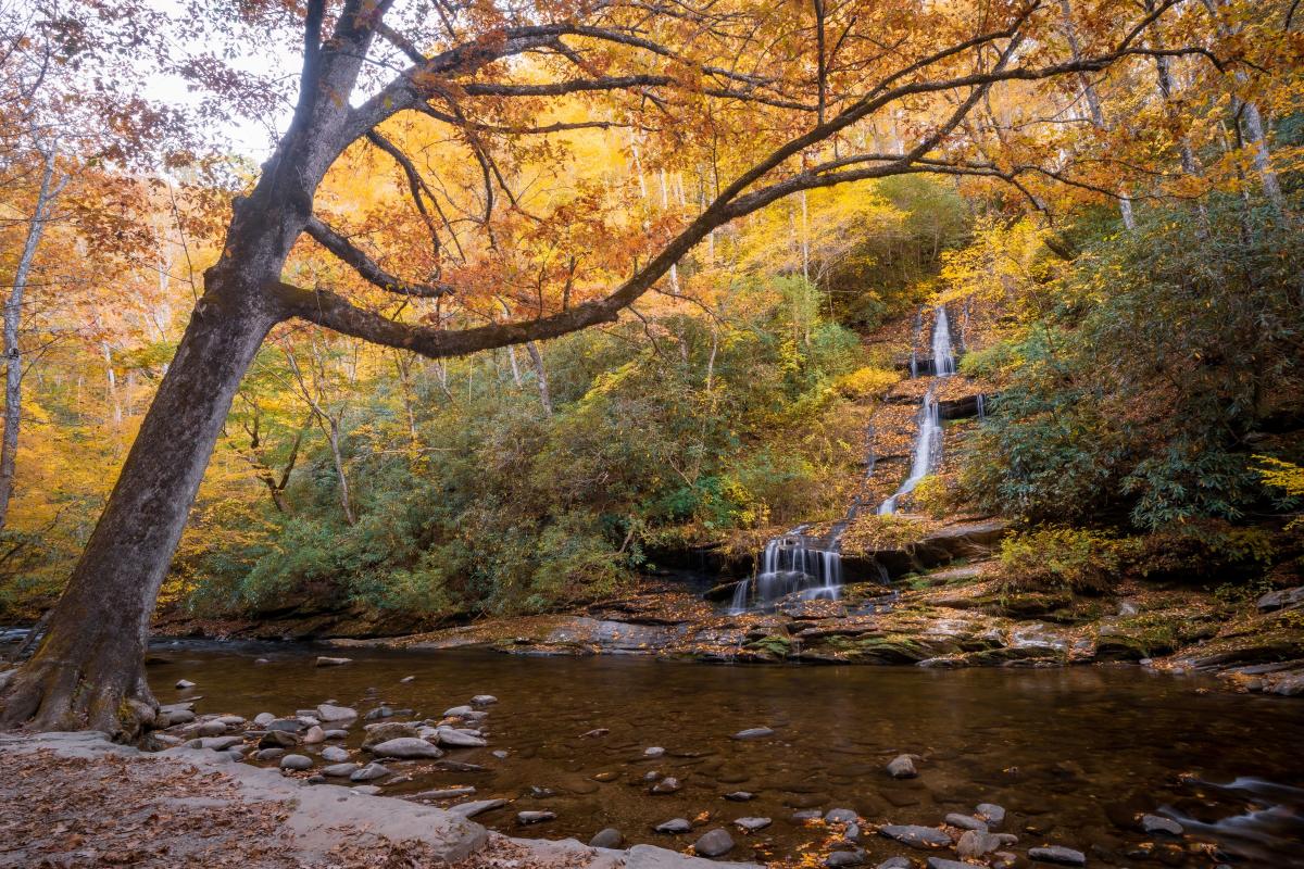 Tom Branch Falls in the Fall