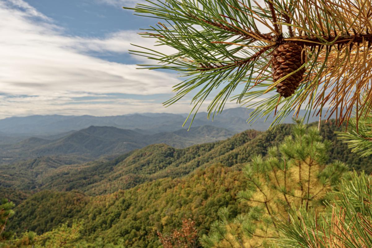 Lonesome Pine Overlook