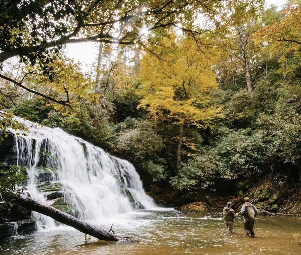 Fall Fly Fishing