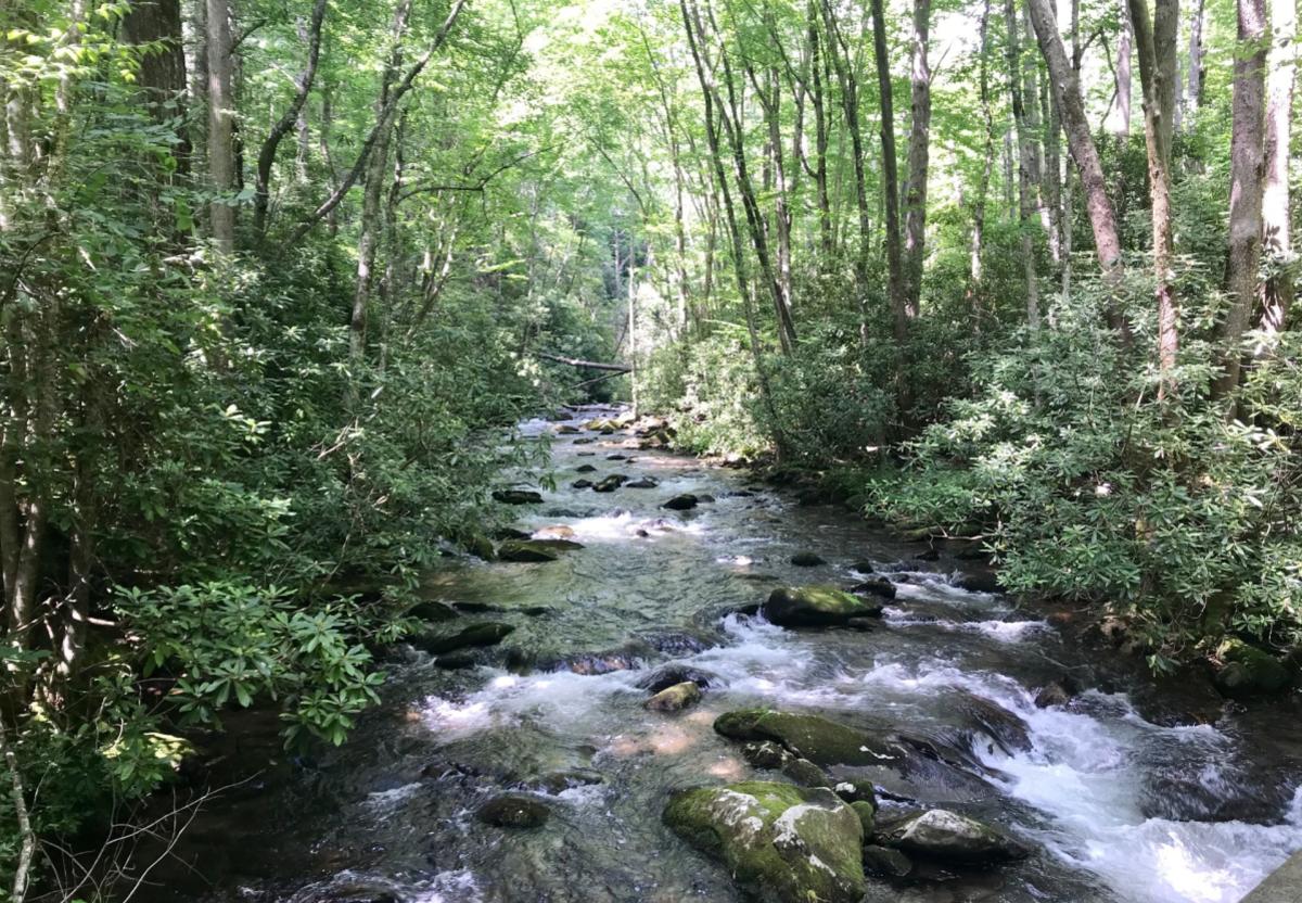 Noland Creek to Spring House Junction