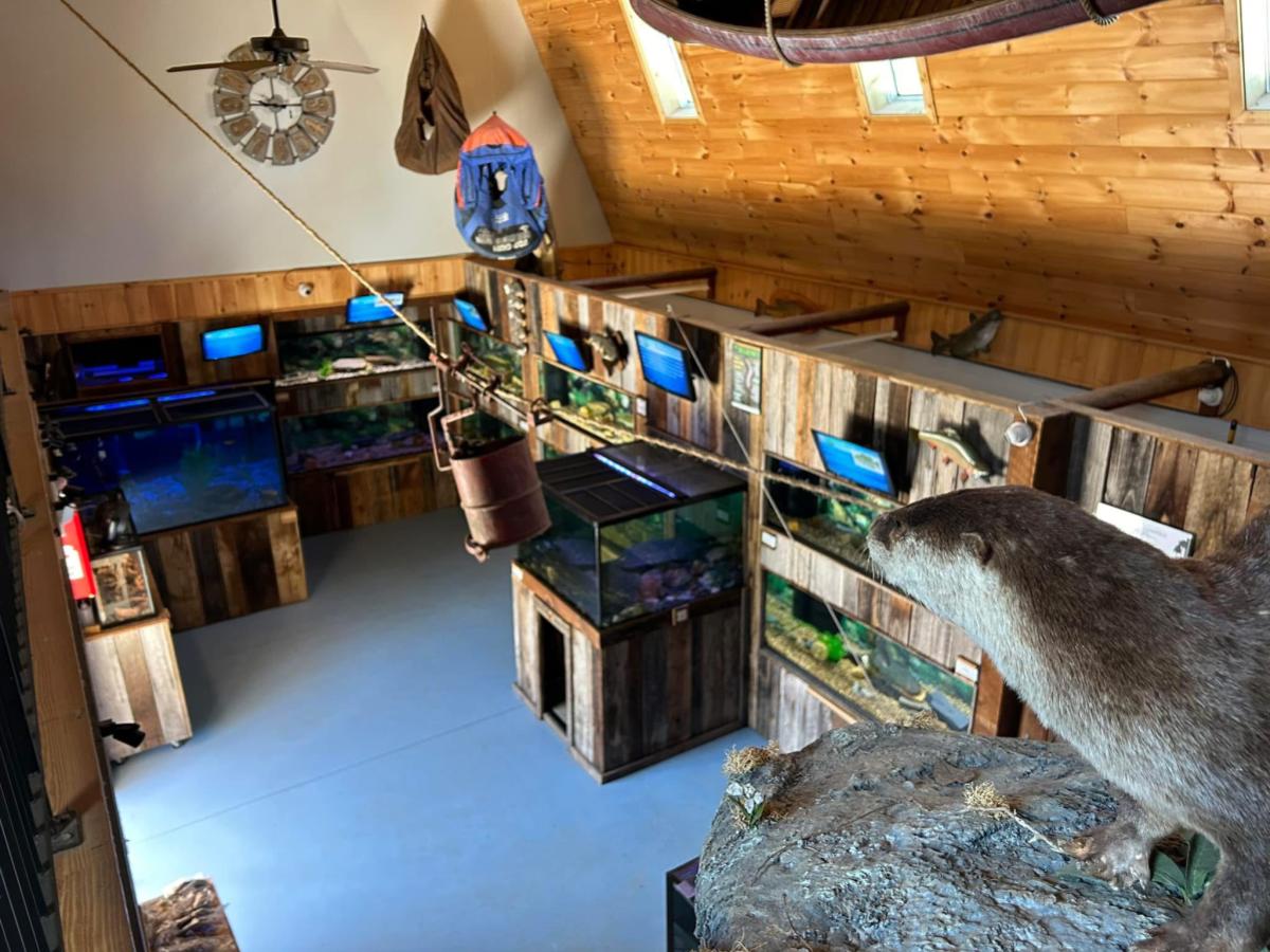 Aquarium Top View