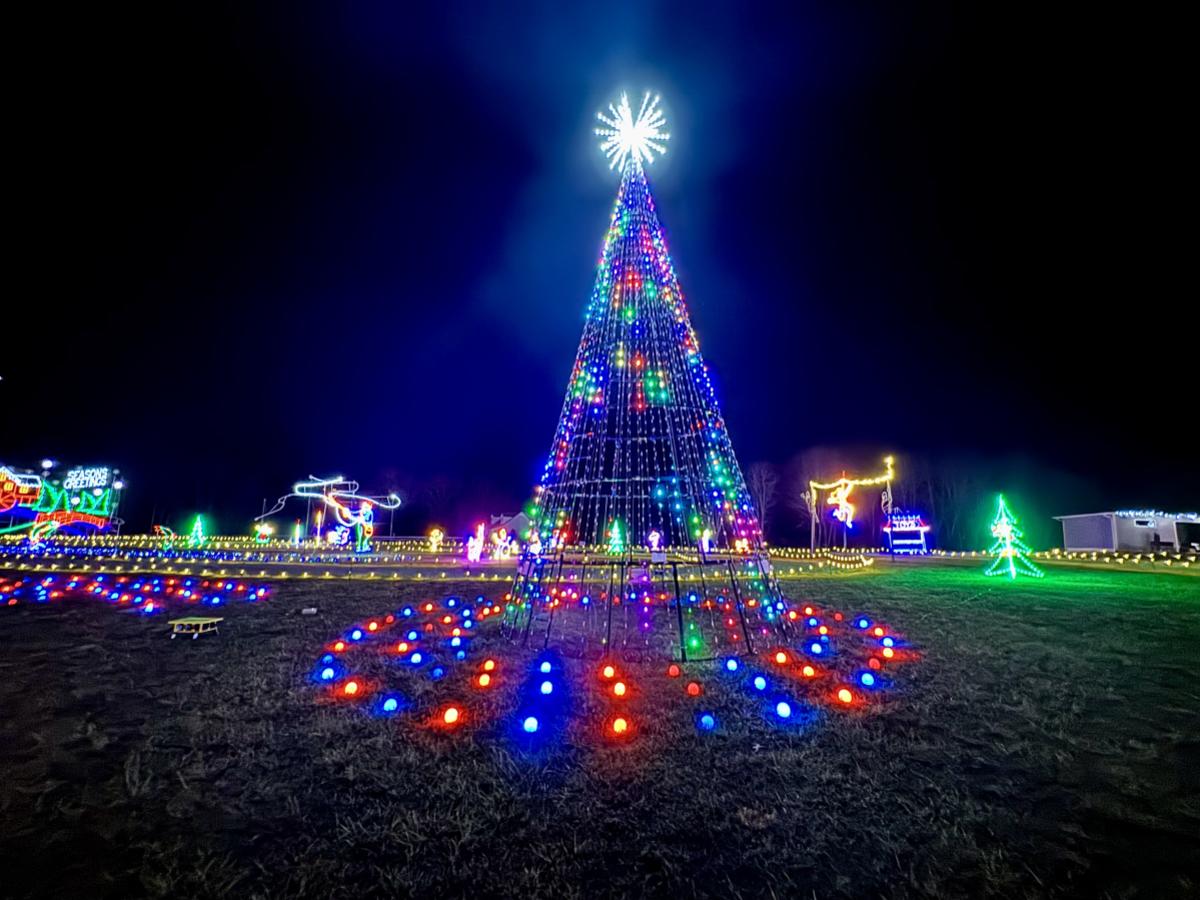 Drive Through Light Show Christmas Tree