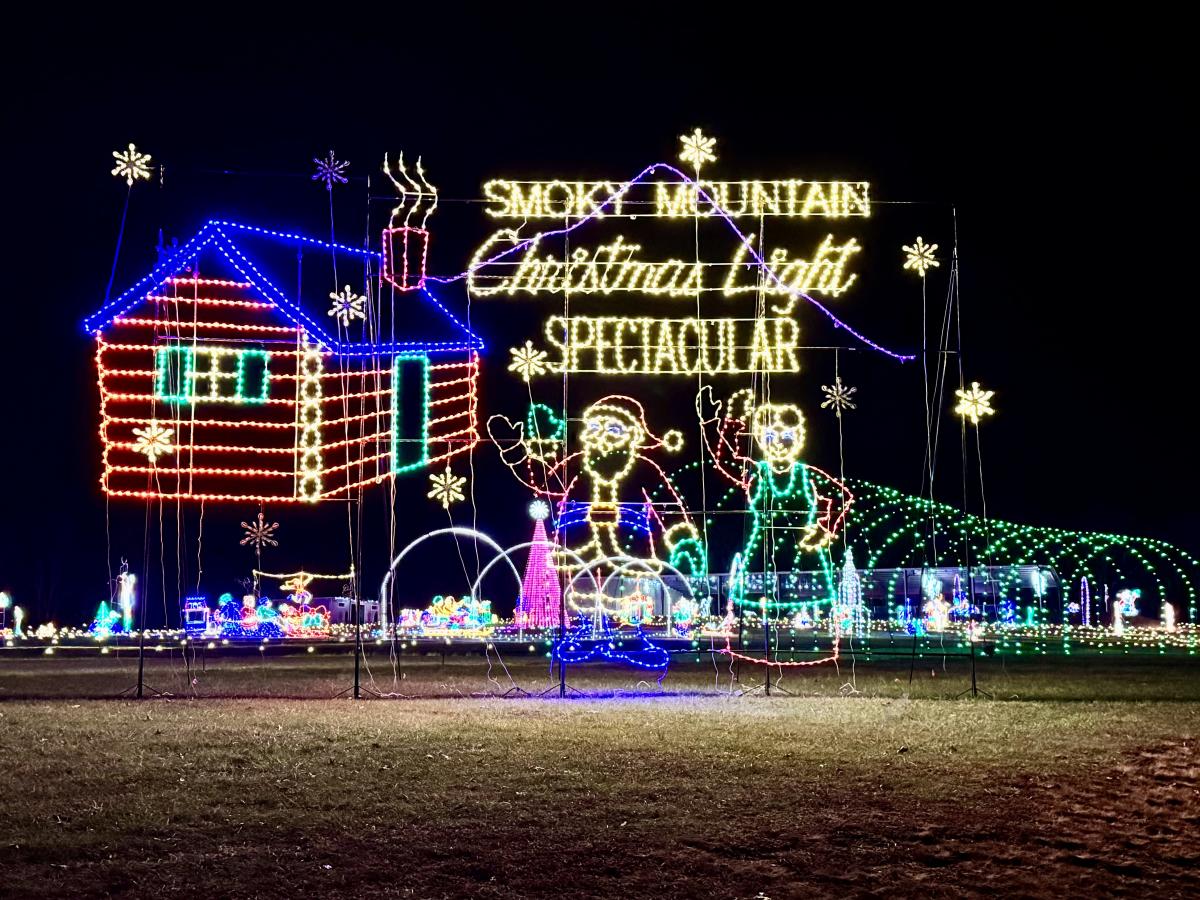 Christmas Light Show Entrance