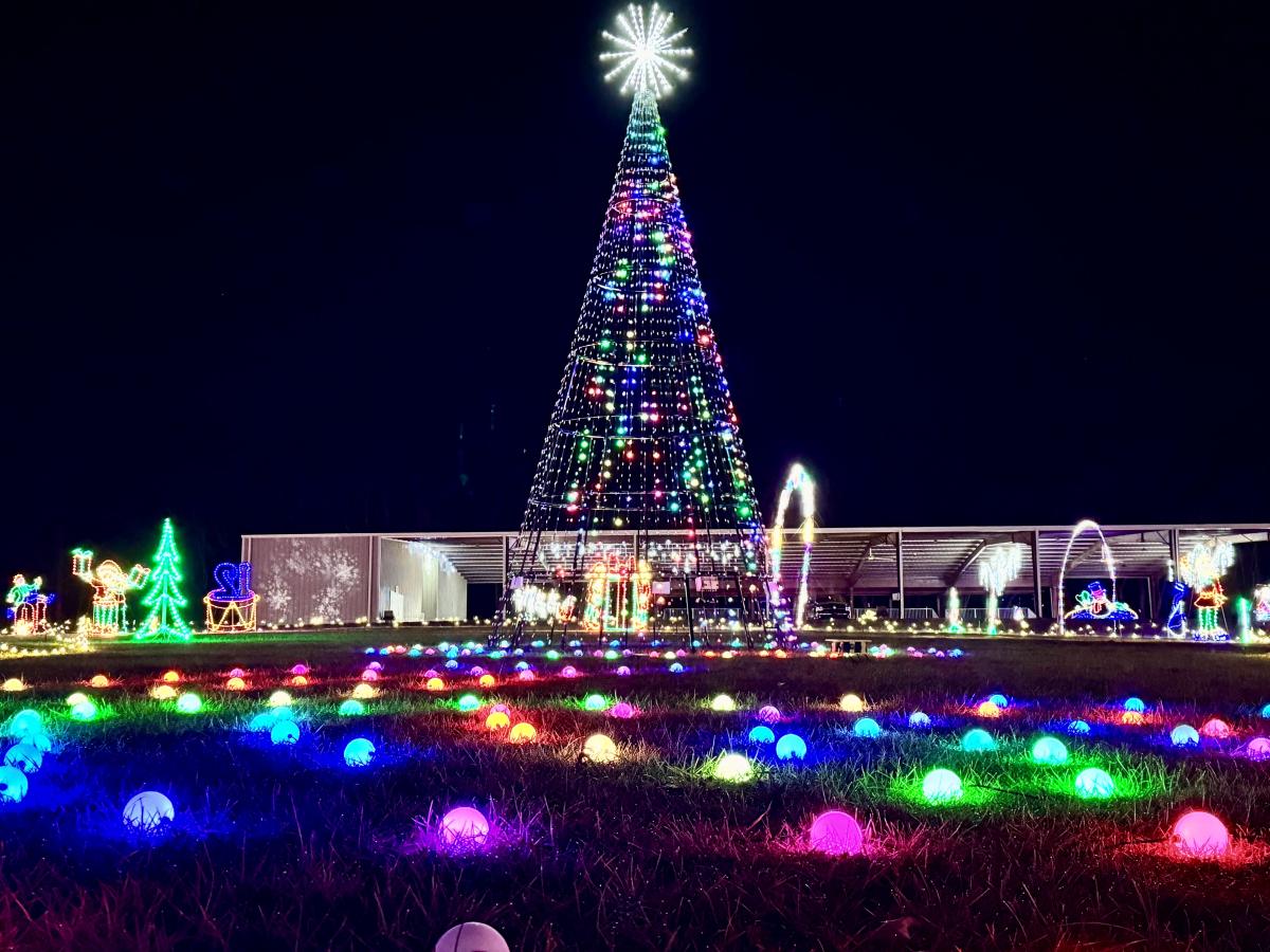 Lighted Tree Christmas