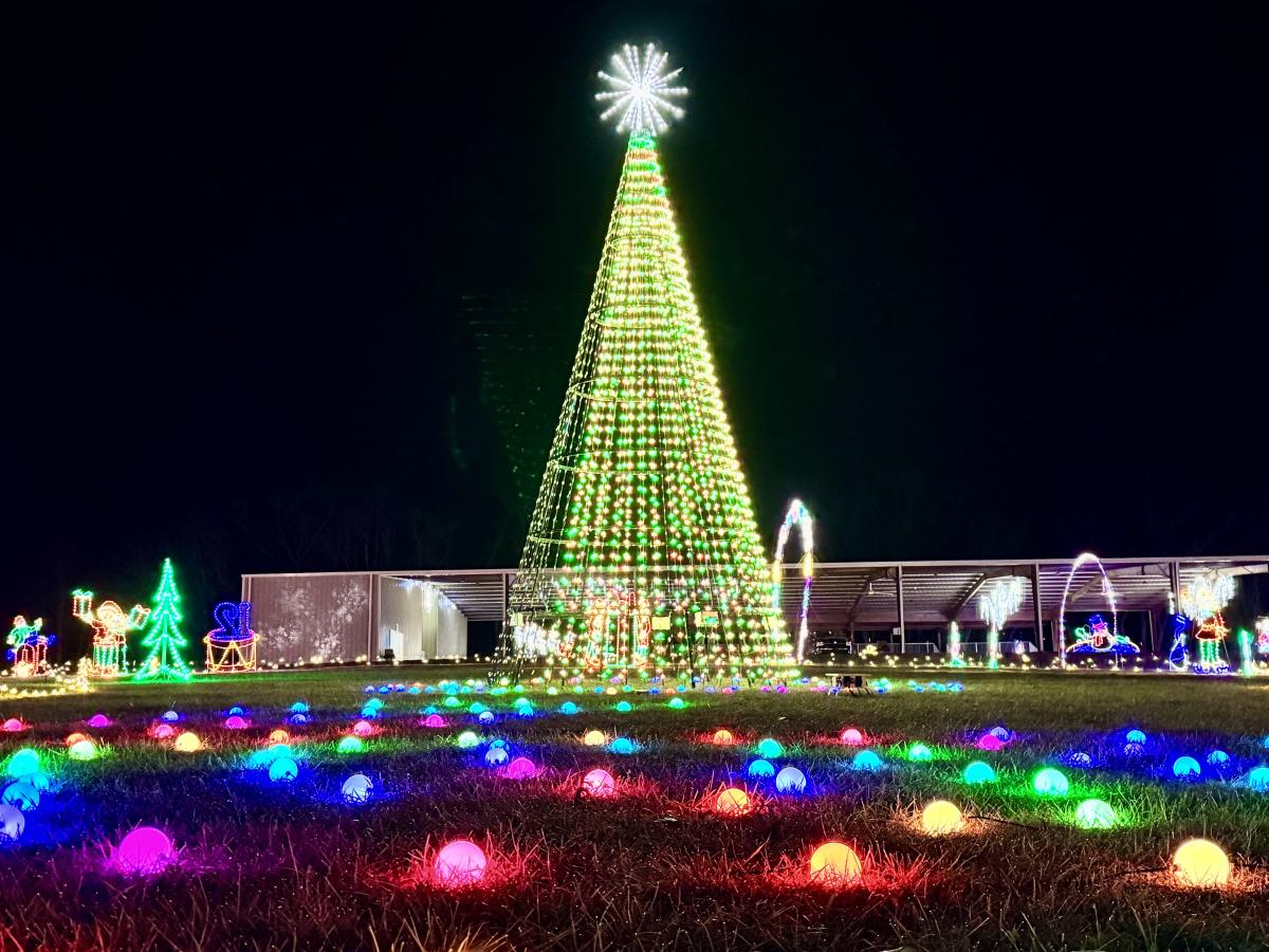 Drive Through Light Show Christmas Tree