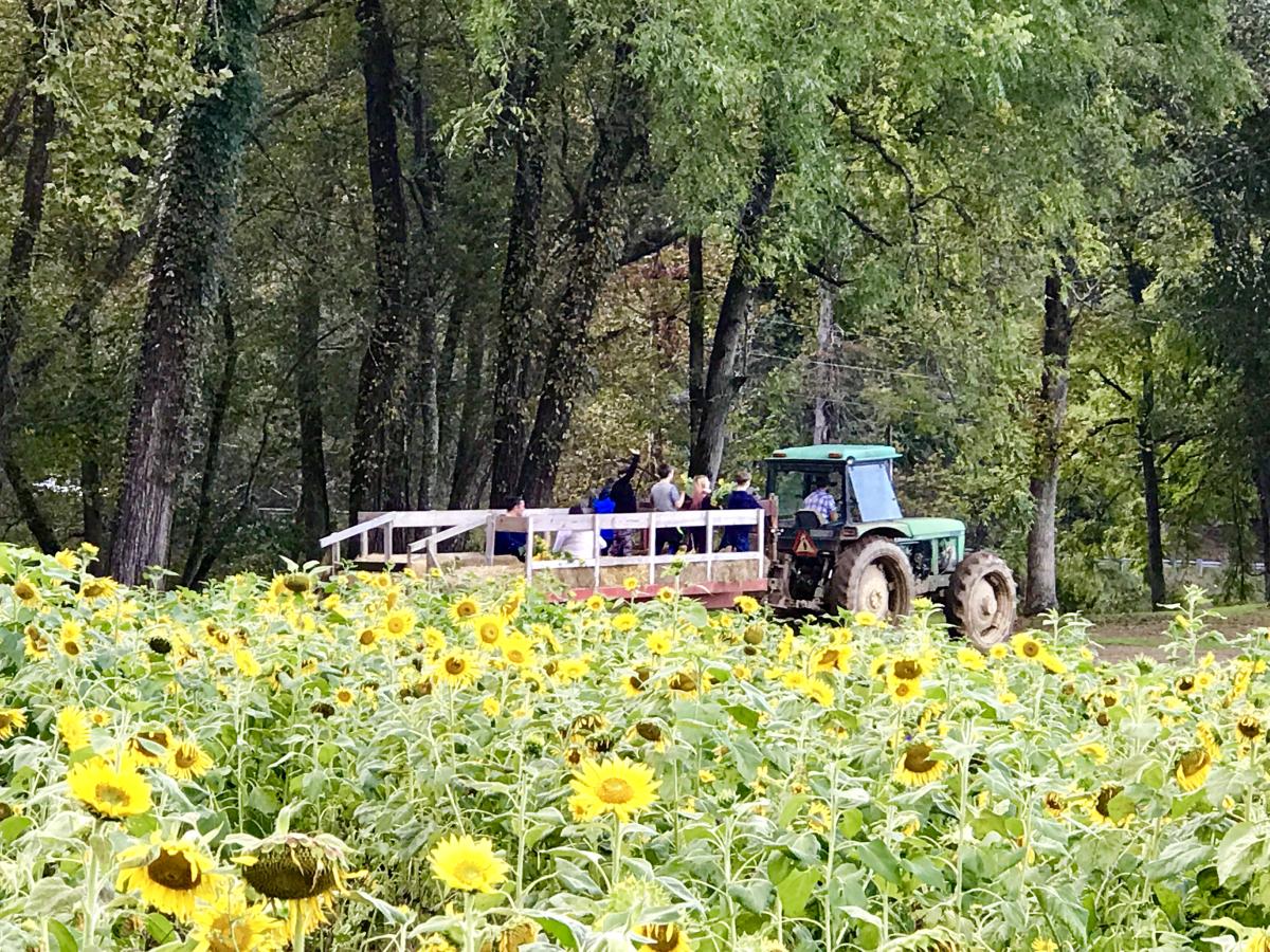 Darnell Farms tractor ride