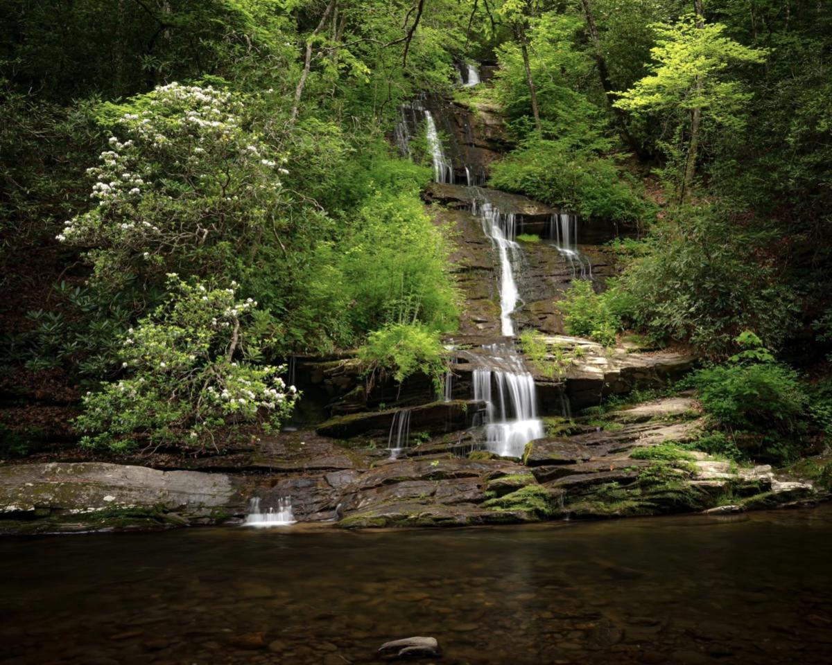 Tom Branch Falls