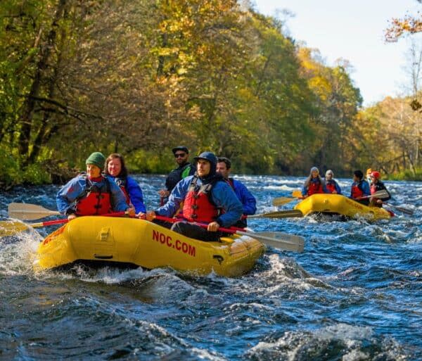 Whitewater Rafting Fall