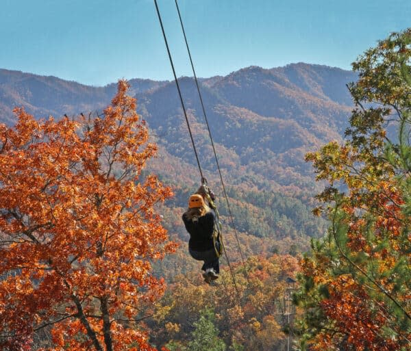 Zip Line Fall