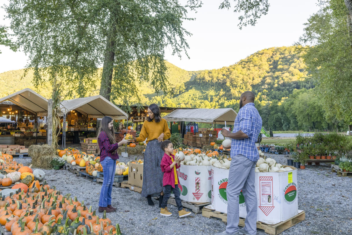 Fall Events - Bryson City