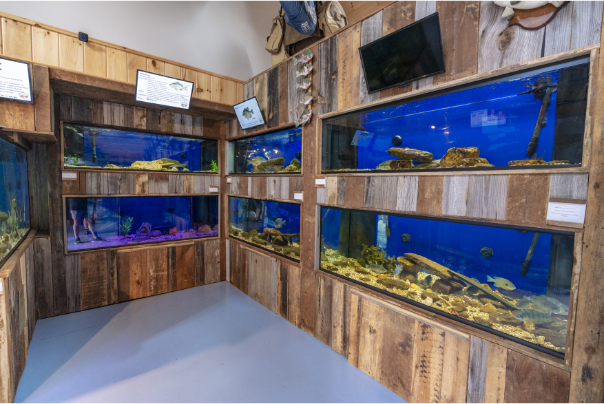 Aquarium