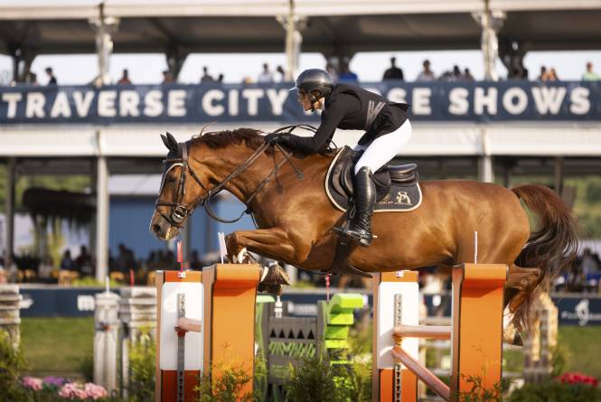 Horse Jumping at the Traverse City Horse Shows
