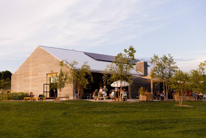 Summer Farm Club