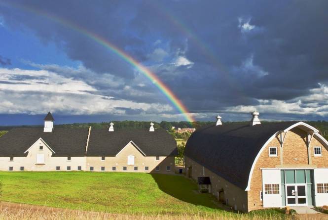 The Cathedral Barn