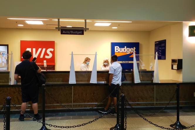 Avis Car Rental
