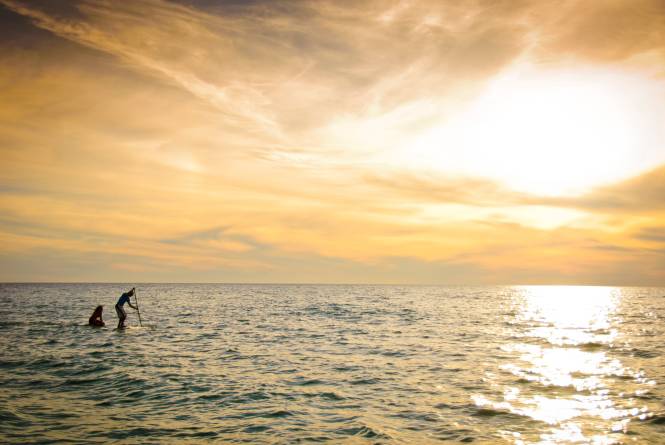 Ben's Boards Paddleboard Rentals
