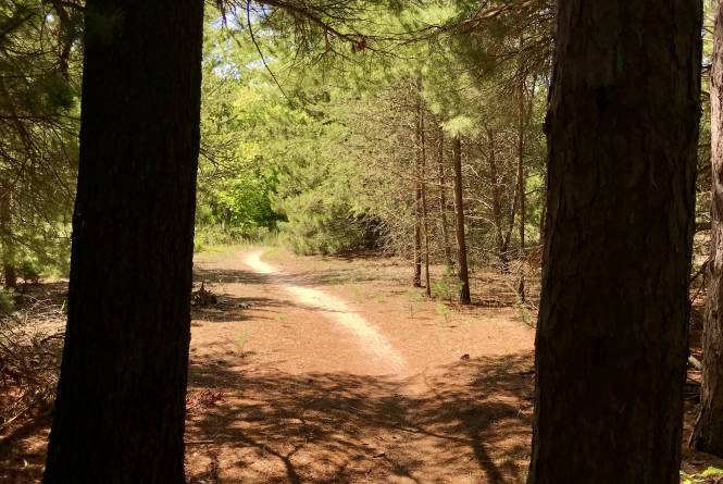 Betsie River Pathway