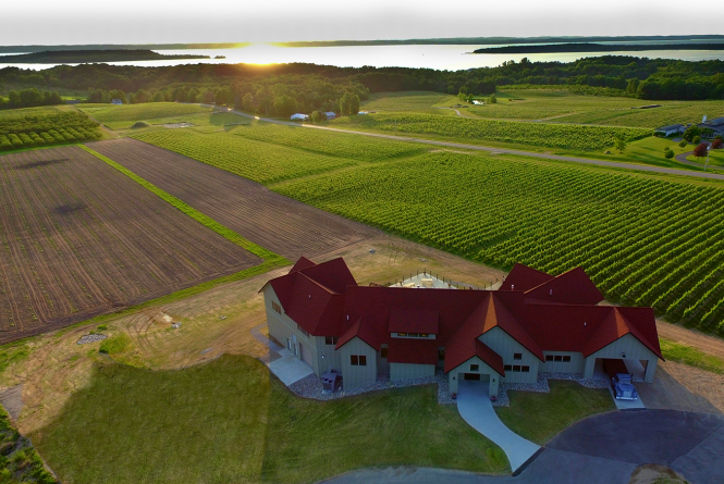 Bonobo Winery