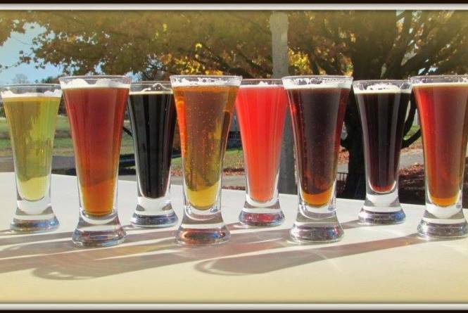 Brewery Terra Firma