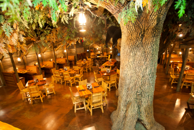 Camp Critter Bar & Grille at Great Wolf Lodge