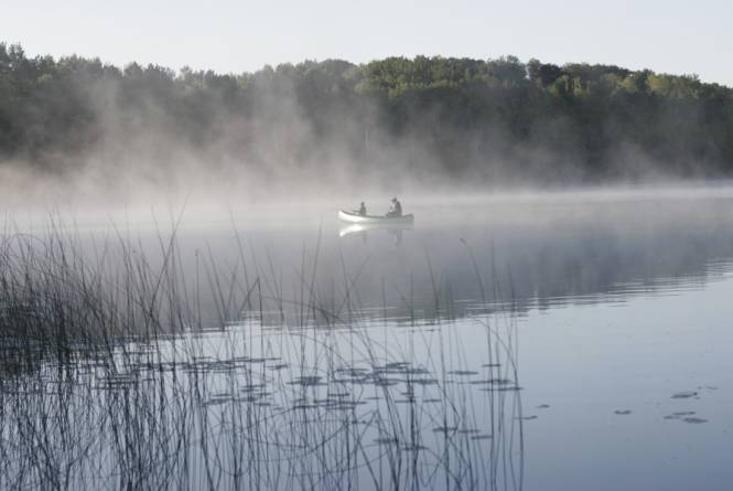 Cedar Run Creek Natural Area