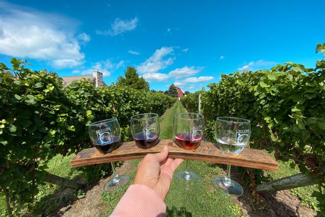 Wine Flight in Vinyard