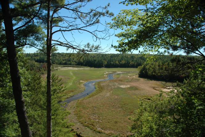 East Creek Reserve