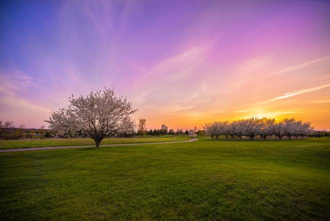Spring at Grand Traverse Resort and Spa