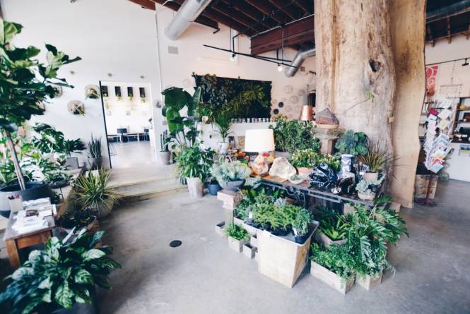 Darling Botanical Company